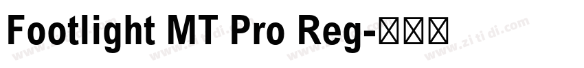 Footlight MT Pro Reg字体转换